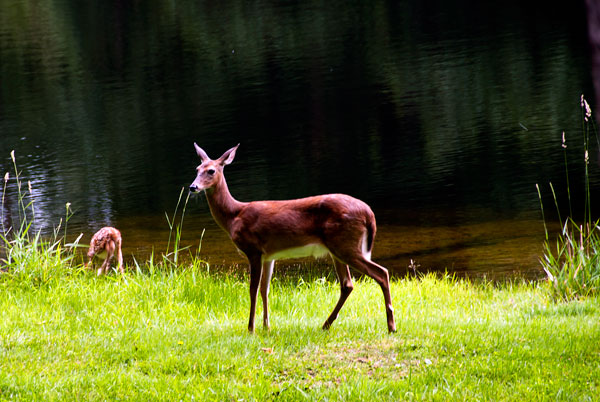 Mama with baby